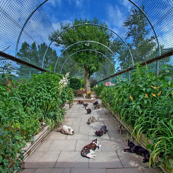 Meet your Posher, RAPS Thrift Store - Picture 2 of 2